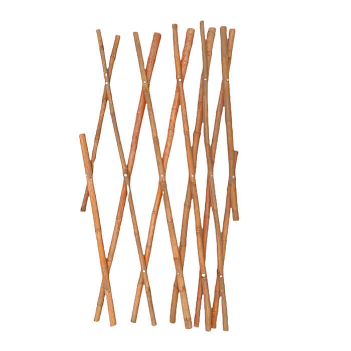 Bamboo Trellis