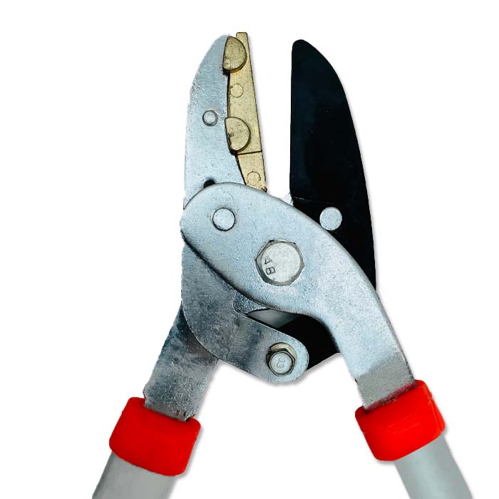 Cutter
