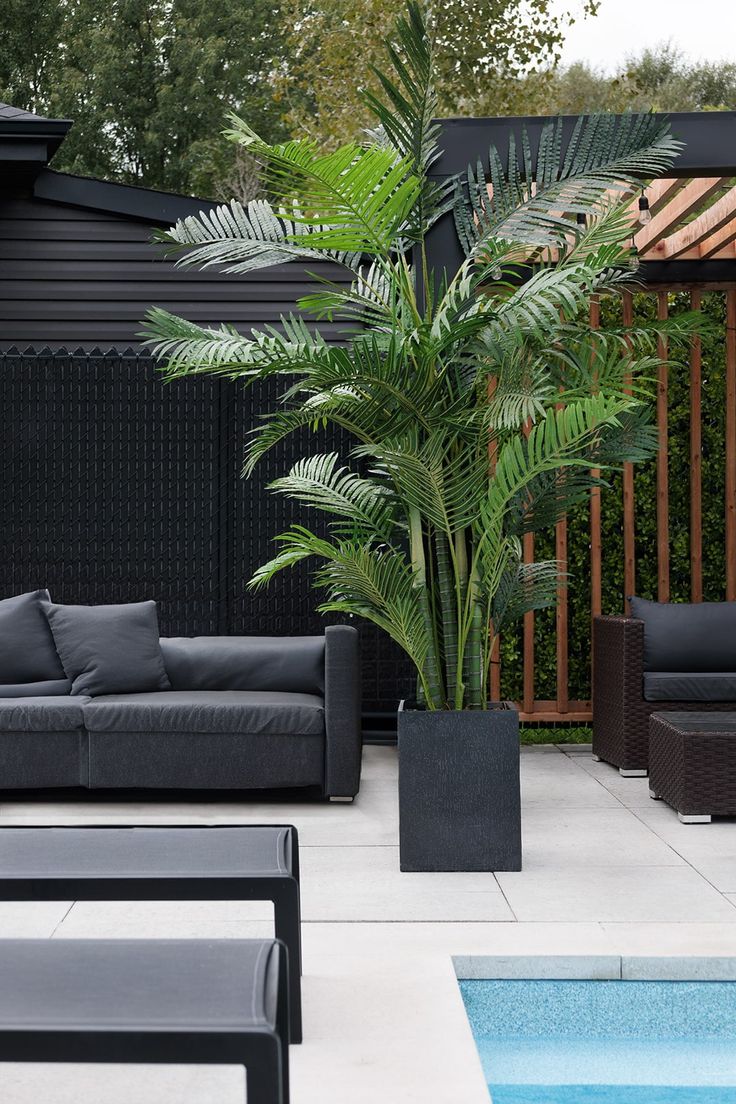 Outdoor Palms
