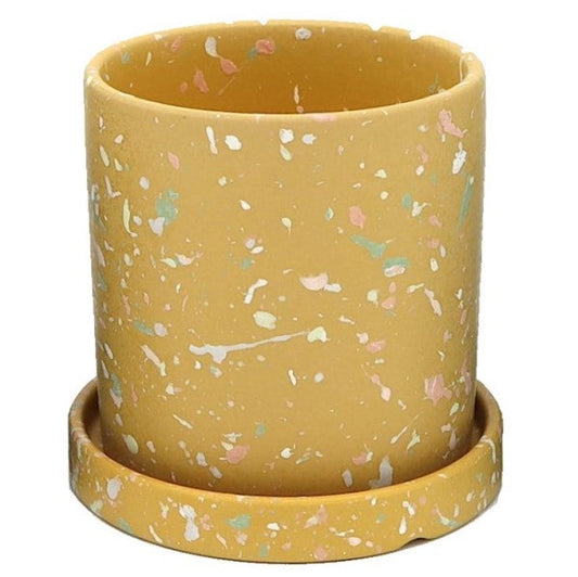 Ceramic Pot with Contrast Dots
