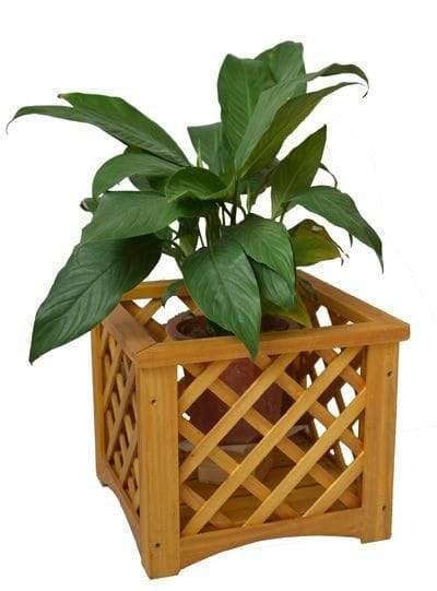 Handmade Cross Planter Keeper